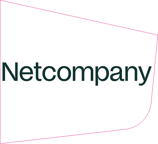 Netcompany website